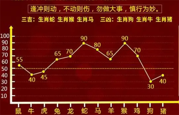 解析一肖一码一一肖一子的实用释义与落实