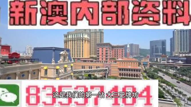 2024新澳精准正版澳门码;精选解析解释落实