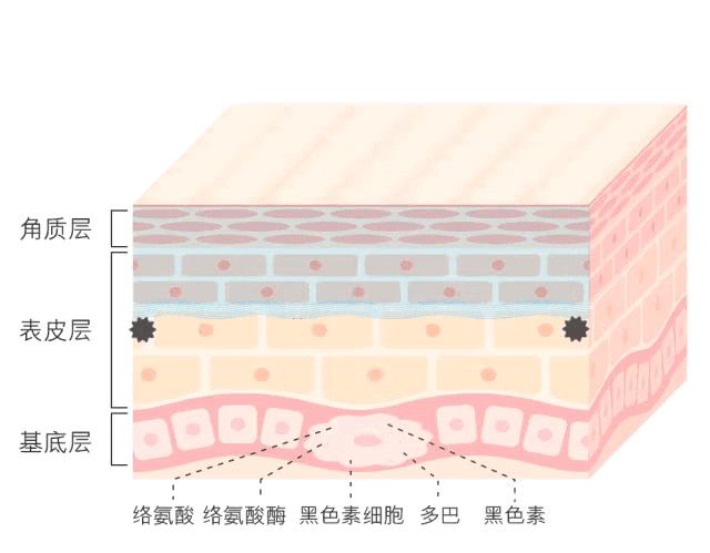 白小姐一码一肖中特1肖|精选资料解释大全